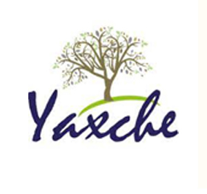 yaxche